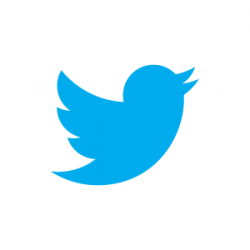 Twiiter bird logo