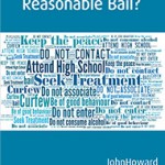 Cover of reasonable bail report with word art in different shades of blue
