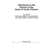 Cover of submission to the review of the roots of youth violence report